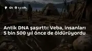 Antik DNA Analizi: Veba Salgınları 5.500 Yıl Önce De İnsanları Tehdit Ediyordu