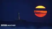 Temmuz Ayı Dolunay Etkinliği: Buck Moon Gökyüzünde Görünecek
