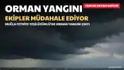 Fethiye'de Orman Yangınına Müdahale Sürüyor