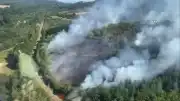Fransa'da Orman Yangınları: Correze ve Gironde Bölgelerinde Mücadele Sürüyor