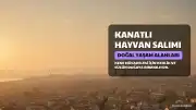 Kene ile mücadelede yeni adım: 51 bin kanatlı doğaya salınacak