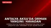 Antalya Aksu'da Orman Yangını: Havadan ve Karadan Müdahale Sürüyor