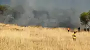 Ayvalık Sakarya Mahallesi'nde Otluk Alanda Yangın Çıktı