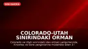 Colorado-Utah Sınırındaki Orman Yangınlarında 3 İtfaiyeci Hayatını Kaybetti