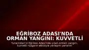 Eğriboz Adası'nda Orman Yangını: Kuvvetli Rüzgar Müdahaleyi Güçleştiriyor