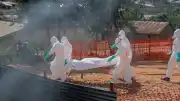 Fransa Sağlık Bakanlığı: "Ülke topraklarında ilk Ebola virüsü vakasının tespit edildi"