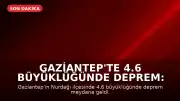 Gaziantep'te 4.6 büyüklüğünde deprem: Yer Bilimci Naci Görür'den uyarı