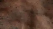 Heerlen'de 1800 Yıllık Antik Lanet Tableti Gün Yüzüne Çıkarıldı