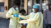 Kongo Demokratik Cumhuriyeti'nde Ebola Vaka Sayısı 598'e Yükseldi, 115 Kişi Hayatını Kaybetti
