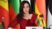 Litvanya'da Hükümet Değişikliği: Başbakan Inga Ruginienė İstifa Etti