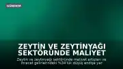 Zeytin ve Zeytinyağı Sektöründe Maliyet ve İhracat Kaygısı