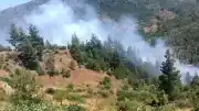 Adana'nın Feke İlçesinde Orman Yangını Çıktı