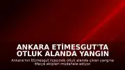 Ankara Etimesgut'ta Otluk Alanda Yangın Çıktı