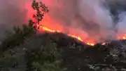 Antalya Kaş'taki Orman Yangınına Müdahale Karadan Devam Ediyor