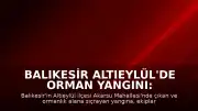 Balıkesir Altıeylül'de Orman Yangını: Müdahale Devam Ediyor