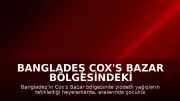 Bangladeş Cox's Bazar Bölgesindeki Heyelanlarda 9 Kişi Hayatını Kaybetti