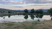 Bolu'da Gölette Kaybolan Şahıs İçin Arama Çalışmaları Başlatıldı