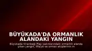 Büyükada'da Ormanlık Alandaki Yangın Kontrol Altına Alındı