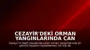 Cezayir'deki Orman Yangınlarında Can Kaybı ve Yaralanma Bildirildi