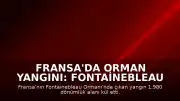 Fransa'da Orman Yangını: Fontainebleau Ormanı'nda Bin 980 Dönümlük Alan Kül Oldu