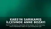 Kars'ın Sarıkamış İlçesinde Anne Bozayı ve Yavruları Görüntülendi