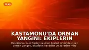 Kastamonu'da Orman Yangını: Ekiplerin Müdahalesiyle Kontrol Altına Alındı