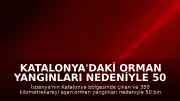 Katalonya'daki Orman Yangınları Nedeniyle 50 Bine Yakın Kişi Tahliye Edildi
