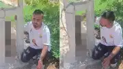 Kırıkhan'da Köpek Zehirlenerek Elektrik Direğine Asıldı