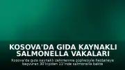 Kosova'da Gıda Kaynaklı Salmonella Vakaları Tespit Edildi