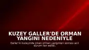 Kuzey Galler'de Orman Yangını Nedeniyle Acil Durum İlan Edildi