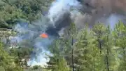 Muğla Göcek'te Orman Yangını: Ekiplerin Müdahalesi Sürüyor