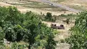 Muş'ta Piknik Yolunda Traktör Römorku Uçuruma Yuvarlandı: 1 Ölü, 23 Yaralı