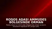 Rodos Adası Ammudes Bölgesinde Orman Yangını Çıktı