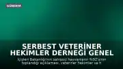 Serbest Veteriner Hekimler Derneği Genel Başkanı Bilsay Kanat: "Bize kaç hayvan toplandığını değil, kaçının yaşatıldığını söyleyin"