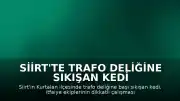 Siirt'te Trafo Deliğine Sıkışan Kedi İtfaiye Tarafından Kurtarıldı