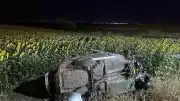 Tekirdağ Çorlu'da Otomobil Ayçiçeği Tarlasına Devrildi: 5 Yaralı