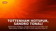 Tottenham Hotspur, Sandro Tonali Transferi İçin Newcastle United İle Anlaştı