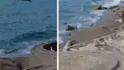 Zonguldak Filyos Sahili'nde Askeri Olduğu Düşünülen İHA Bulundu