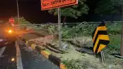 Zonguldak'ta Trafik Kazası: 5 Yaralı