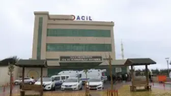 Diyarbakır'da Elektrik Direğine Yıldırım Düşmesi Sonucu Bir Kadın Yaralandı