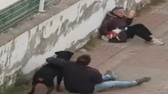 Ümraniye'de Ağızlıksız Rottweiler Küçük Köpeğe Saldırdı