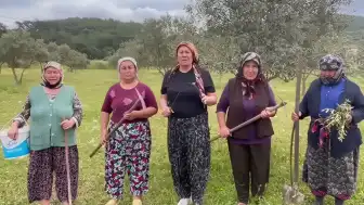 Akbelen'de 1 Mayıs Açıklaması: E.I. Serbest Bırakılsın Talebi