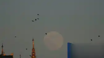 ABD'li Diplomat Myanmar'da Ölü Bulundu, Polis Cinayet Şüphesiyle Soruşturuyor