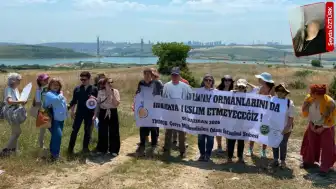 TMMOB Çevre Mühendisleri Odası'ndan İstanbul Çevre Durum Raporu: Su Kaynakları Üzerindeki Baskı Artıyor