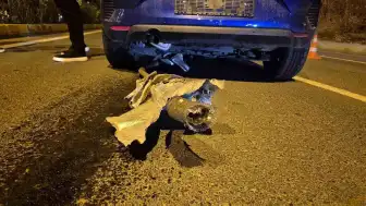 Tekirdağ'da Açık Rögar Kapağı Kazası: Otomobil Metrelerce Sürüklendi