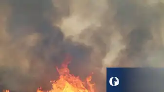 İspanya'da Yangın Felaketi: Almería'da Can Kayıpları ve Bilimsel Uyarılar