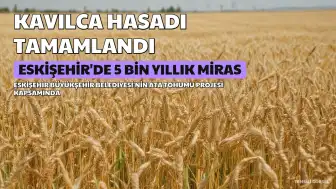 Eskişehir'de 5 Bin Yıllık Kavılca Buğdayı Hasadı Tamamlandı
