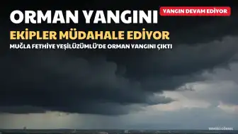 Fethiye'de Orman Yangınına Müdahale Sürüyor