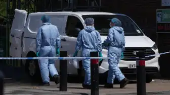 Londra'da Evine Giren Şahıs Genç Anneyi Uyurken Öldürdü