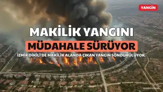 İzmir Dikili'de Makilik Alanda Yangın: Müdahale Sürüyor